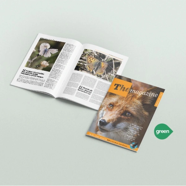  Eco Friendly Stapled Brochures A4